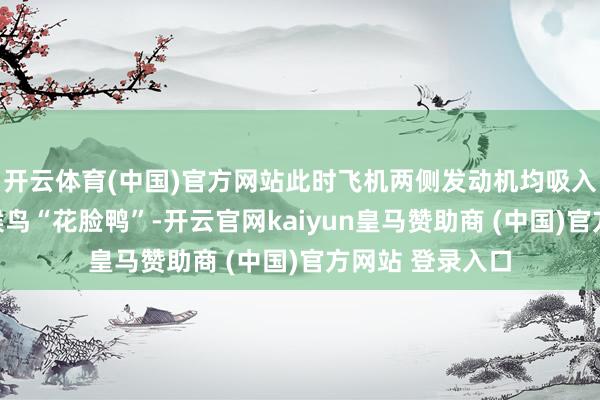 开云体育(中国)官方网站此时飞机两侧发动机均吸入韩国冬季常见候鸟“花脸鸭”-开云官网kaiyun皇马赞助商 (中国)官方网站 登录入口