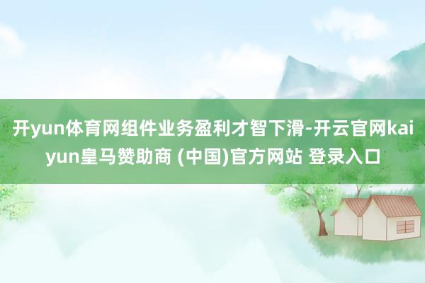 开yun体育网组件业务盈利才智下滑-开云官网kaiyun皇马赞助商 (中国)官方网站 登录入口