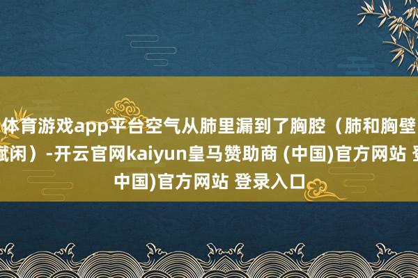 体育游戏app平台空气从肺里漏到了胸腔（肺和胸壁之间的赋闲）-开云官网kaiyun皇马赞助商 (中国)官方网站 登录入口