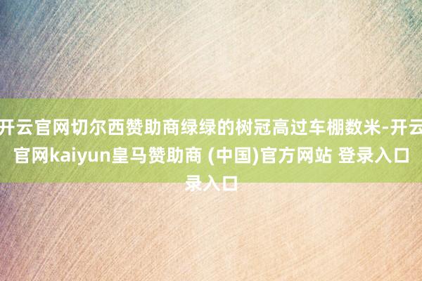 开云官网切尔西赞助商绿绿的树冠高过车棚数米-开云官网kaiyun皇马赞助商 (中国)官方网站 登录入口