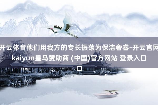 开云体育他们用我方的专长振荡为保洁奢睿-开云官网kaiyun皇马赞助商 (中国)官方网站 登录入口