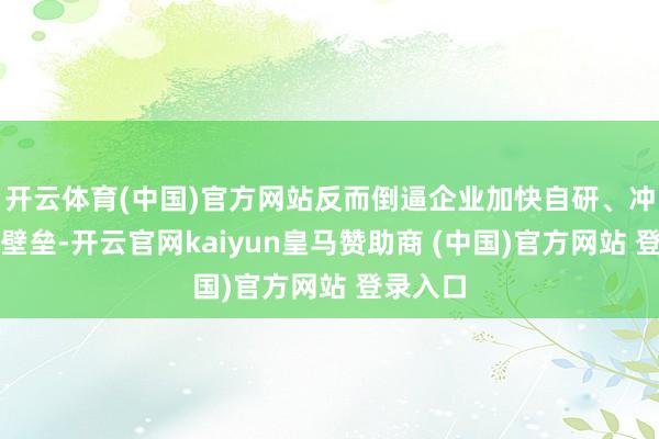 开云体育(中国)官方网站反而倒逼企业加快自研、冲破时刻壁垒-开云官网kaiyun皇马赞助商 (中国)官方网站 登录入口